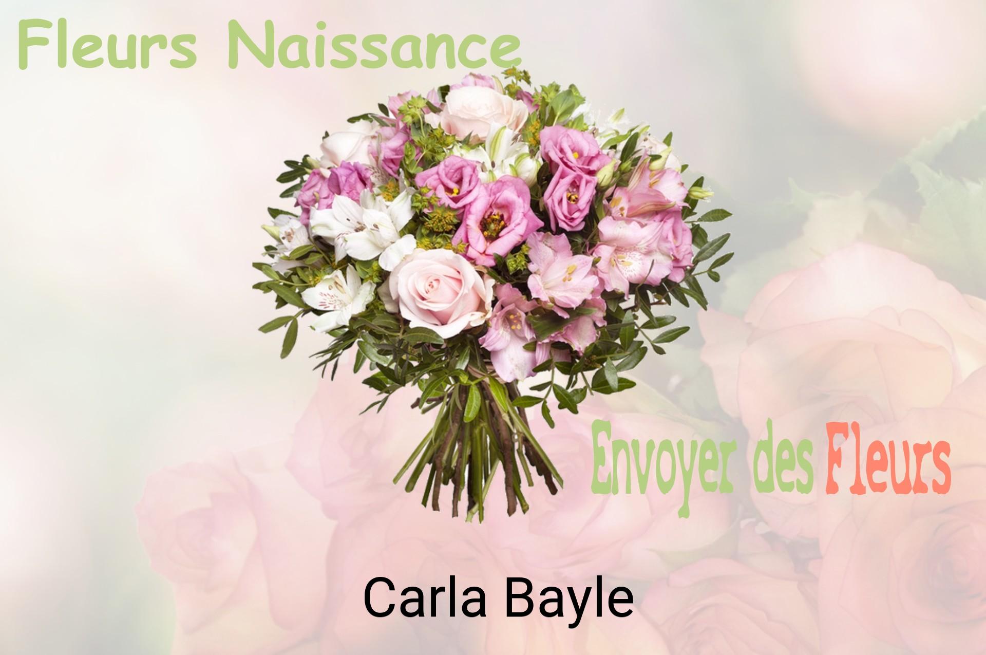 Bouquet de fleurs de naissance livré à Carla-Bayle
