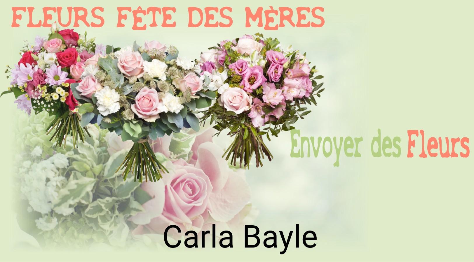 Bouquet de Fête des Mères livré à Carla-Bayle
